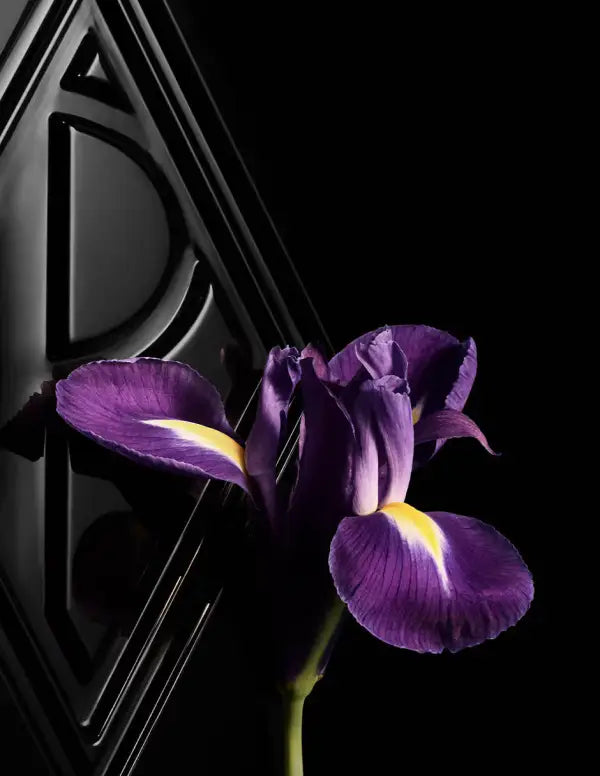 Ralph Laurent Ralphs Club elixir - 75 ml - Diseñador